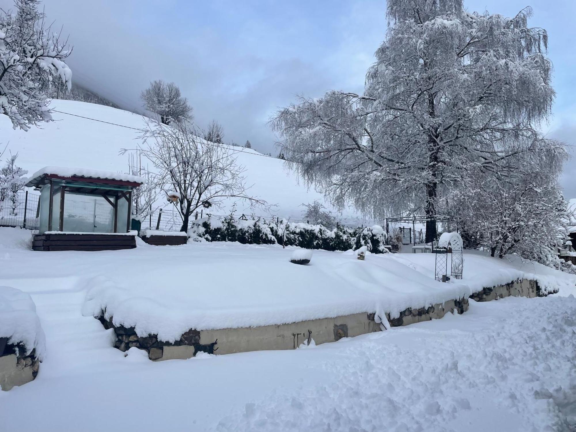Apartment Sonne&Luft Bad Bleiberg Εξωτερικό φωτογραφία